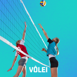 Vôlei